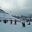 휘닉스파크 이미지