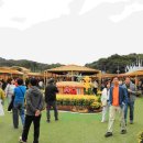 함양산삼사랑 이미지