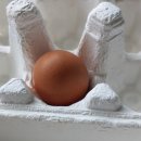 무량농장 이미지