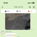 멍댕이 애견유치원 네이버블로그