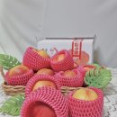 승주농장 이미지