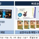 메리알동물병원