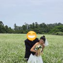 언블루스냅 제주도웨딩스냅 솔직 후기 제주웨딩스냅가격부터 사진공개
