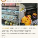 제리당