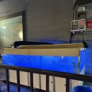 청명 | 춘천 보양식으로 유명한 청명복집 방문 솔직 후기