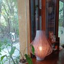 도토리(dotori) 이미지