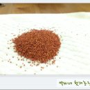 철마농장 이미지