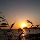 운진농장 이미지