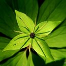 내일을 향하여 이미지