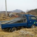 포도대장농원