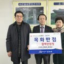 목화반점 이미지