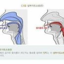 발성 강좌 이미지