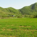 성국목장 이미지