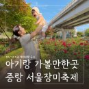 서울중랑초등학교 | 5월 아기랑 가볼만한곳 중랑 서울장미축제 개화상황(5/13) ㅣ주차 꿀팁 및 유아휴게실 유모차 대여