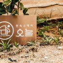 피네케이크 네이버블로그