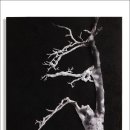 덕성여자대학교 대학원 이미지