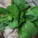 아임밥벅 이미지