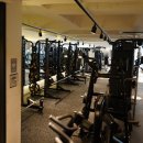 탐휘트니스 길음 | [미아사거리 헬스장] 탐휘트니스 헬스&amp;PT 길음점에서의 바디프로필 준비 후기예요~!