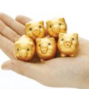 청소년수련원 본 건물 이미지