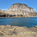 영락목장 | 애견동반 제주도 2박3일 여행 후기 (먹거리,볼거리 추천)
