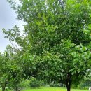 THE:쉼하우스 이미지