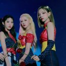 쪼꼬미네 이미지