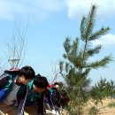 (주)리더그린 이미지