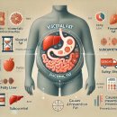 복부비만과 내장지방: 원인과 해결 방법 이미지