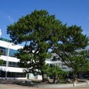 해남군 치매안심센터 이미지