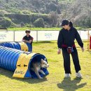 반려마루 화성 이미지