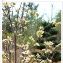 대영농원 이미지