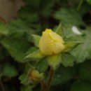 효창주유소 이미지