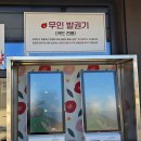 꽃지아라 | “태안·보령 하루코스 간월암부터 꽃지 바이더오카페까지 완벽 여행”