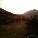 김영종 농장 이미지