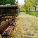 송정제방 이미지