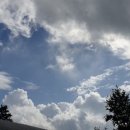 현호농원 이미지