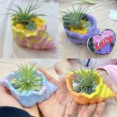 서부지원 | 광주단체체험 _ 서부특수교육지원센터 소라화분 만들기 출강 수업