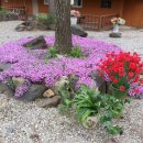 금관절경 이미지