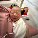 디어원 산후조리원 | 서울 강서구 디어원 산후조리원 산후마사지 후기 산모 식사 비용 모자동실