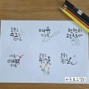 감성 캘리그라피 | [수지캘리그라피 원데이클래스 후기] 감성과 정성이 담긴 마주보고 캘리그라피 클래스 현장 이야기(251018)