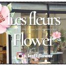 레플레르 이미지