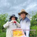 예스 팜 이미지