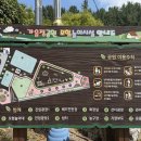 사파동155 이미지