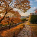 중부-현장-중부-1855 | 제천 배론성지, 단풍과 역사 그리고 평온이 머무는 가을 명소