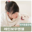 구로-공단-구로-1544 | 강아지화장터 애견화장터의 올바른 선택!! 애견장례식장[레인보우엔젤]