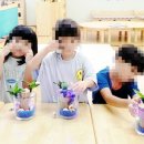 삼죽초교병설유치원 이미지