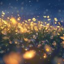 글로리아 이미지