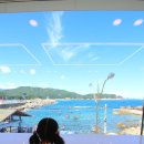 클리어비치 이미지