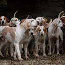 종식2농장 이미지