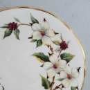 도그 블라썸 이미지